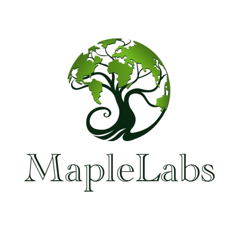 MapleAcademy